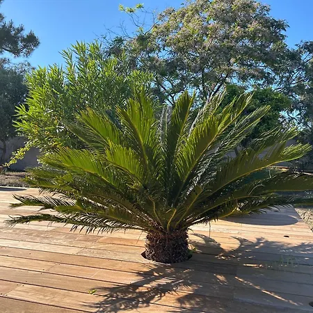 Maison De Charme En Bord De Διαμέρισμα