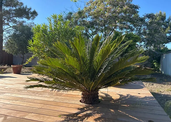 Maison De Charme En Bord De Appartement